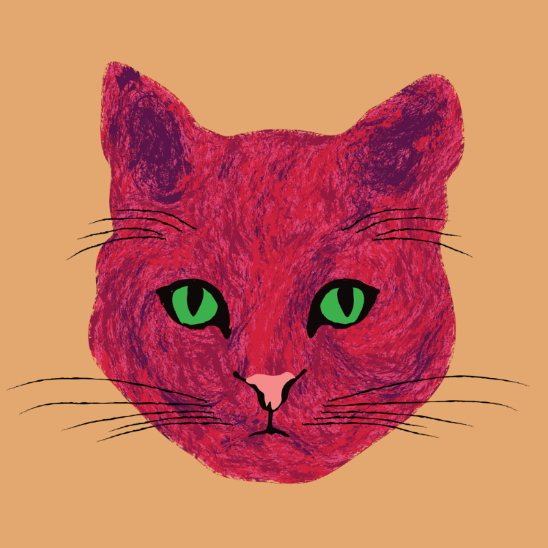 Kitten #12 static token preview