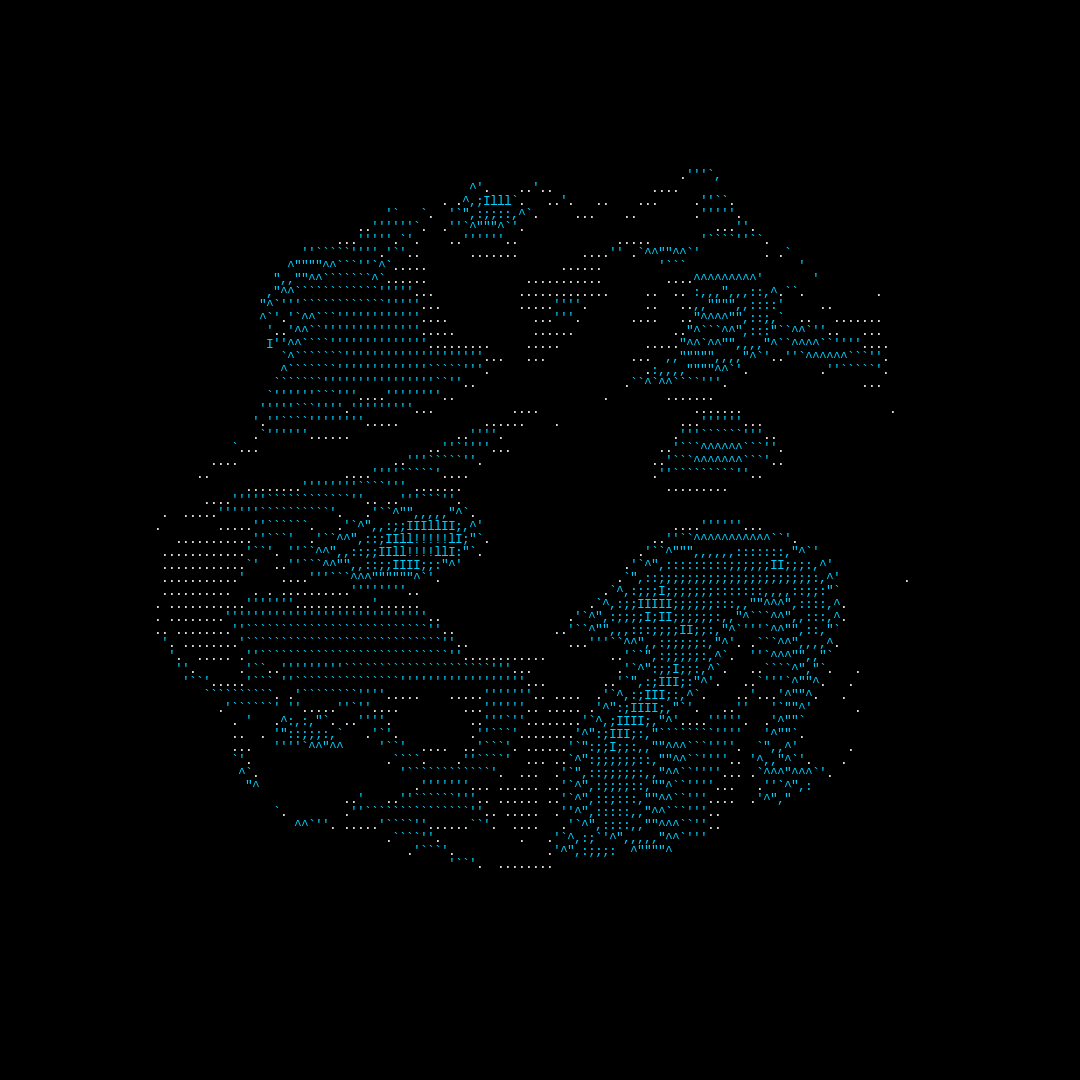parts of us - ascii #20 static token preview