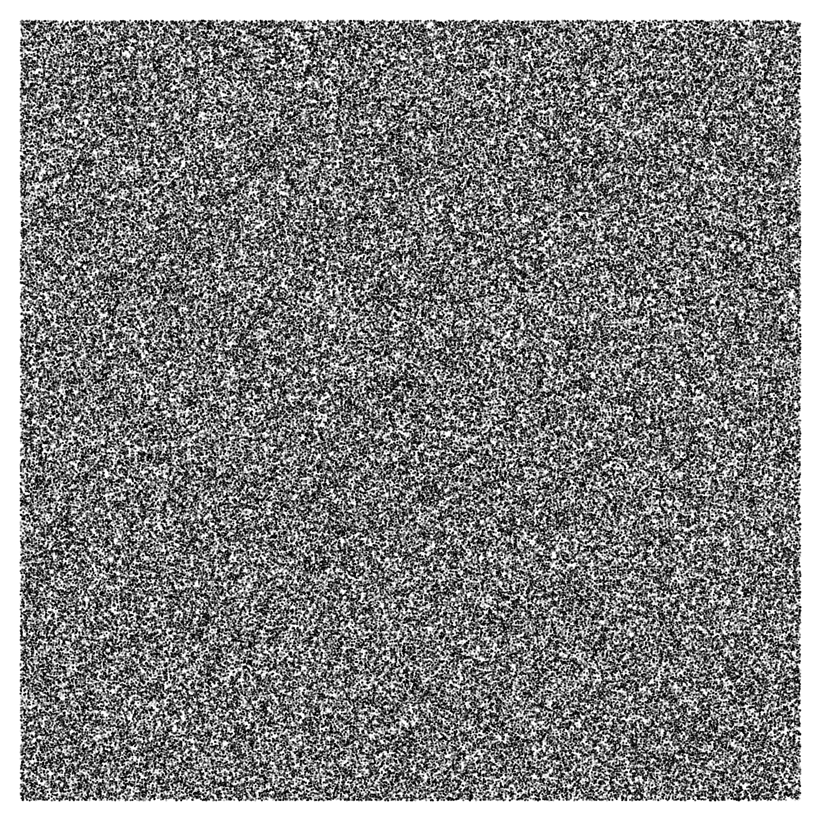 Noise #14 static token preview