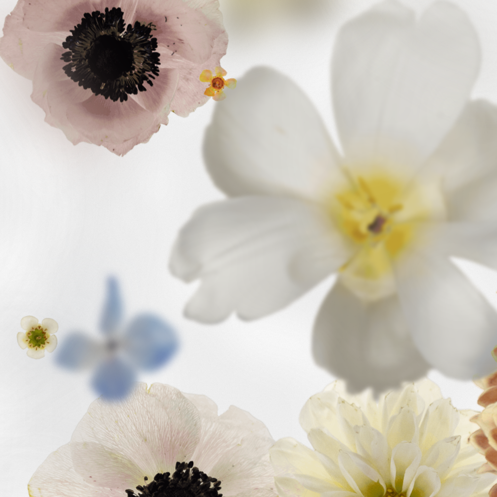 Broken Flowers #11 static token preview