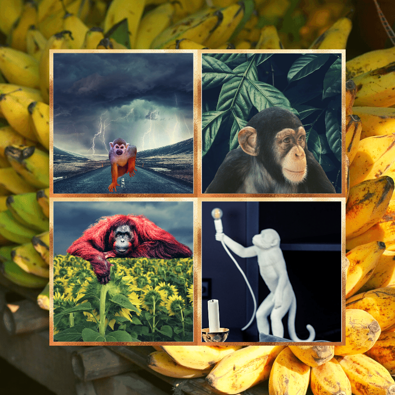 Banana legends #19 static token preview