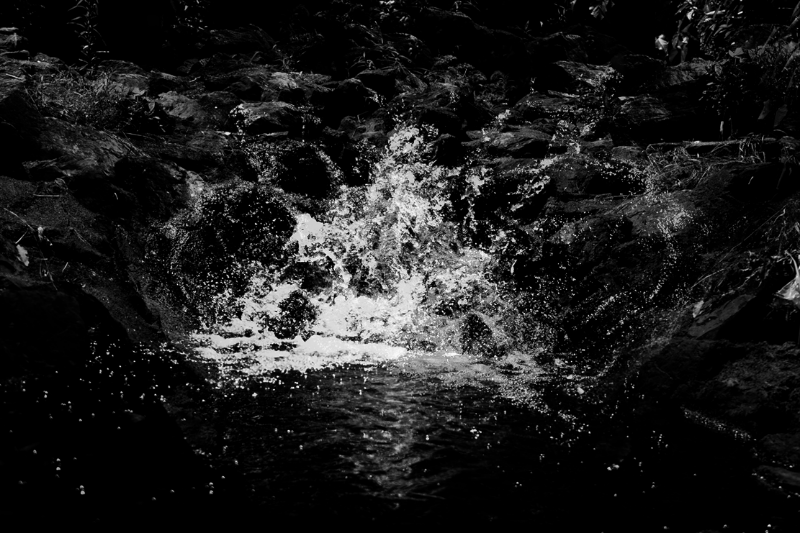 chasing waterfalls #17 static token preview