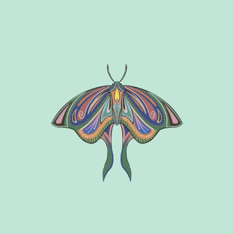 The Moth Experiment 2.0 P2 #14 static token preview