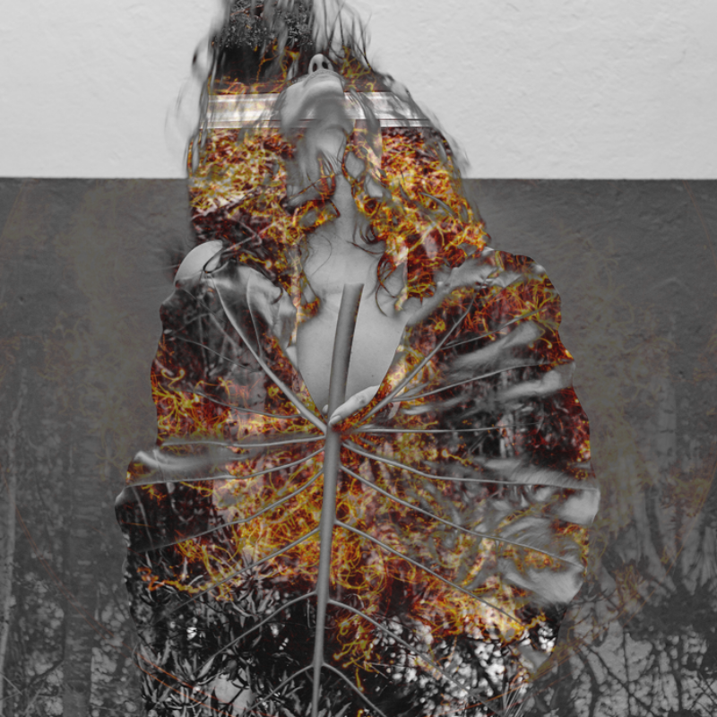 Portraits of a soul #6 static token preview