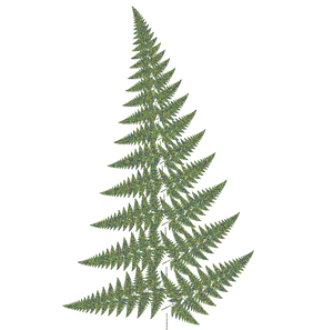 Fern Blooming project preview