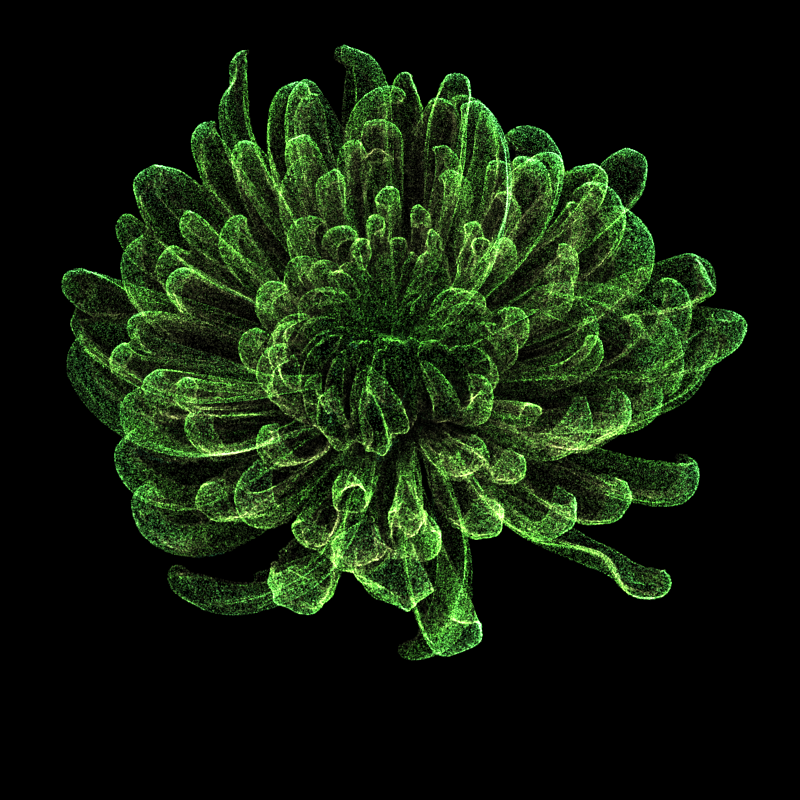 Chrysanthemum Morifolium 30 #19 static token preview