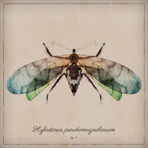 ProcGen Entomology project preview