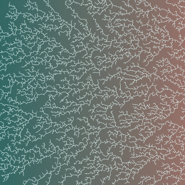 Frozen Windows #11 static token preview