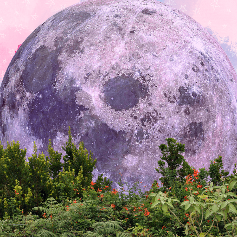 Pink Moon #20 static token preview