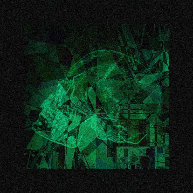 X-ray of a skull #13 static token preview