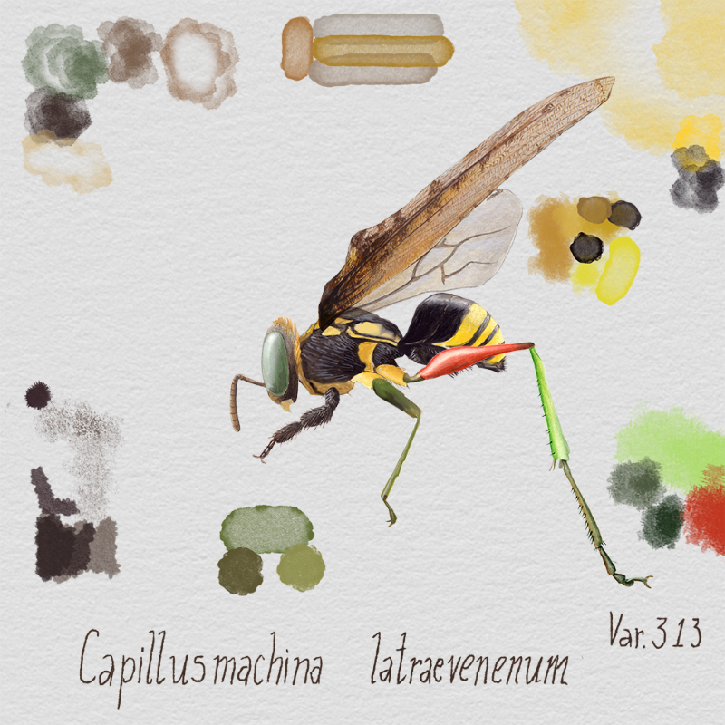 Randomic Brazilian Insects 1 #1 static token preview