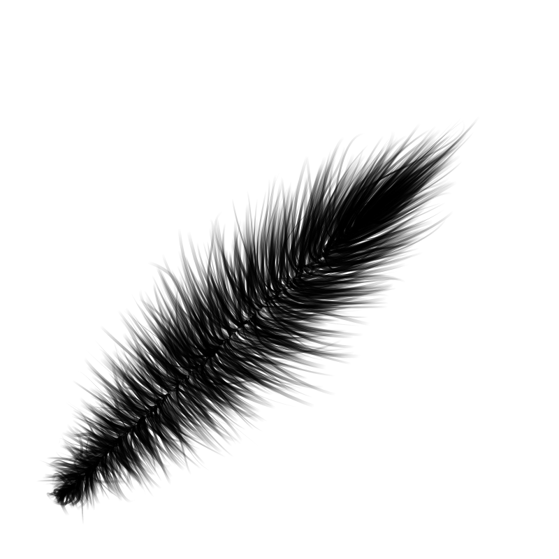 Random Feather #3 static token preview