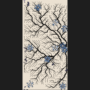 The Root project preview