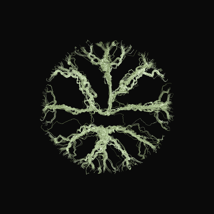 Ginseng #1 static token preview