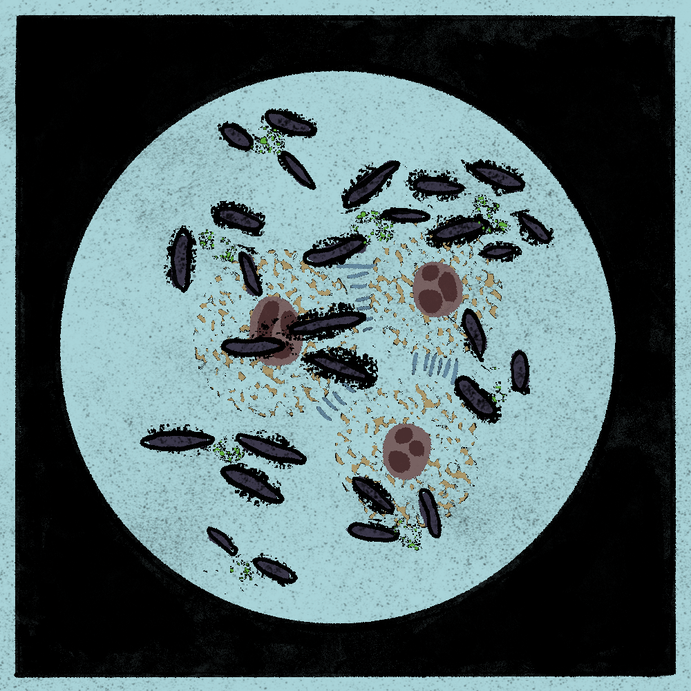 Microbes #13 static token preview