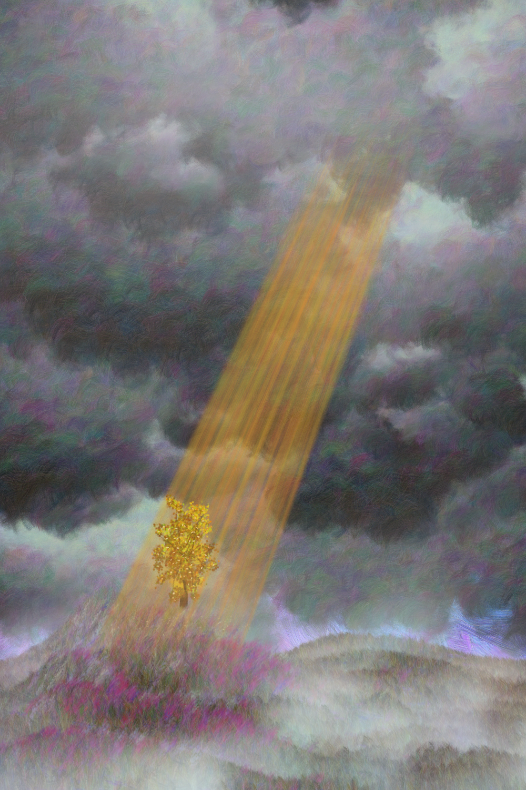 Tree and Cloud #22 static token preview