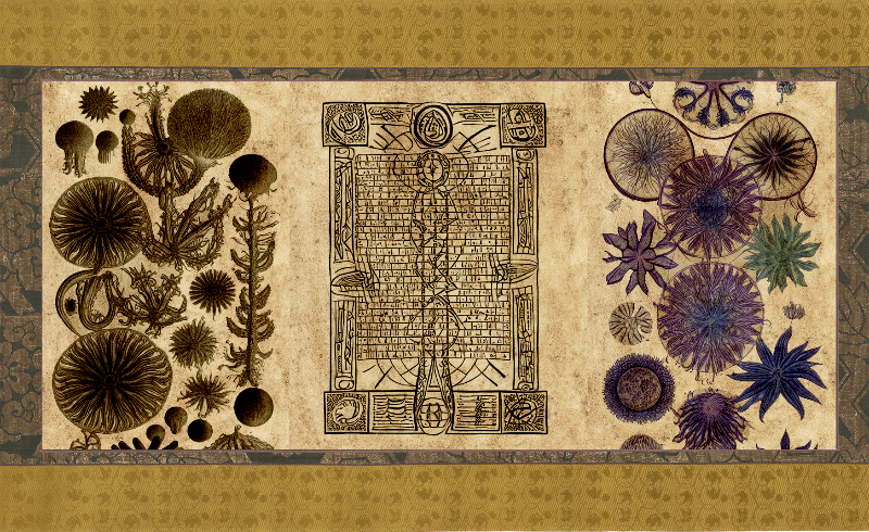 The Emissary Scrolls #20 static token preview