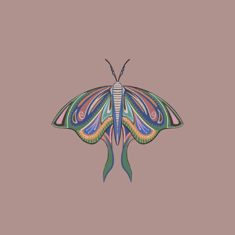 The Moth Experiment 2.0 P2 #15 static token preview