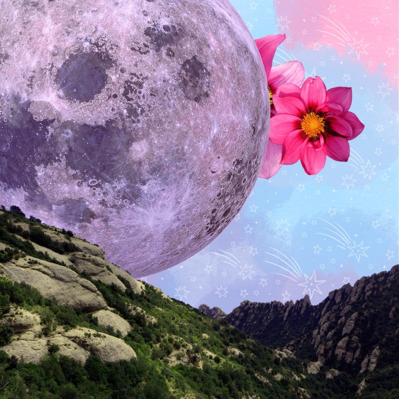 Pink Moon #17 static token preview