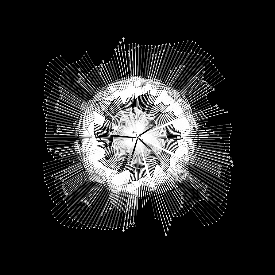Camellia #2 static token preview
