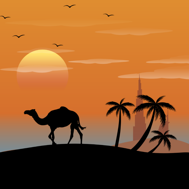 We Care...Camel #2 static token preview