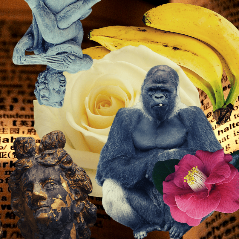 Banana flower #18 static token preview