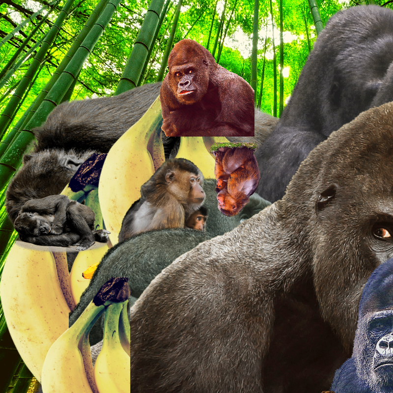 Banana #1 #13 static token preview