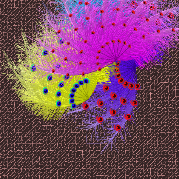 Oriental Peafowl Impression #14 static token preview