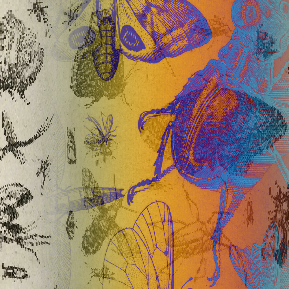 hash insects #1 static token preview
