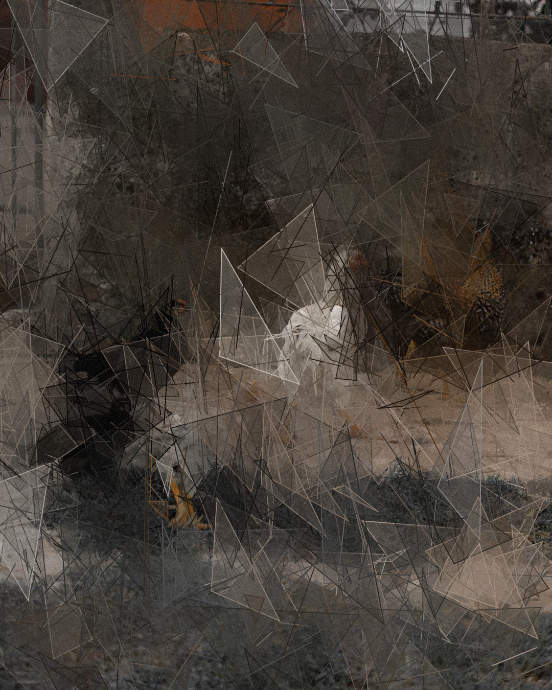 1888 - Fragmented #16 static token preview