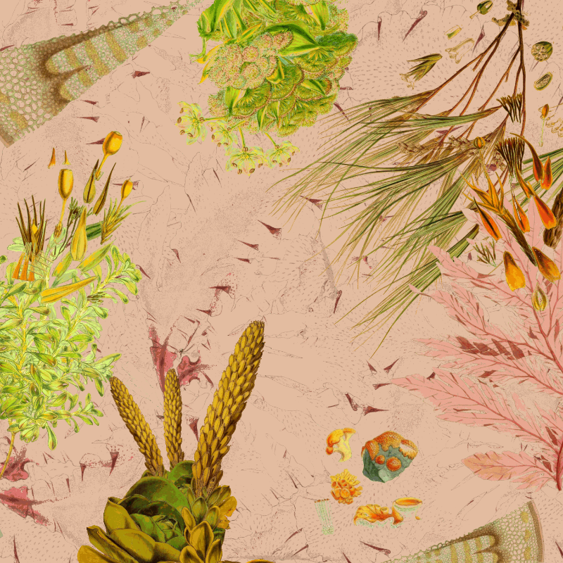 future flora from Antarctica's past #20 static token preview