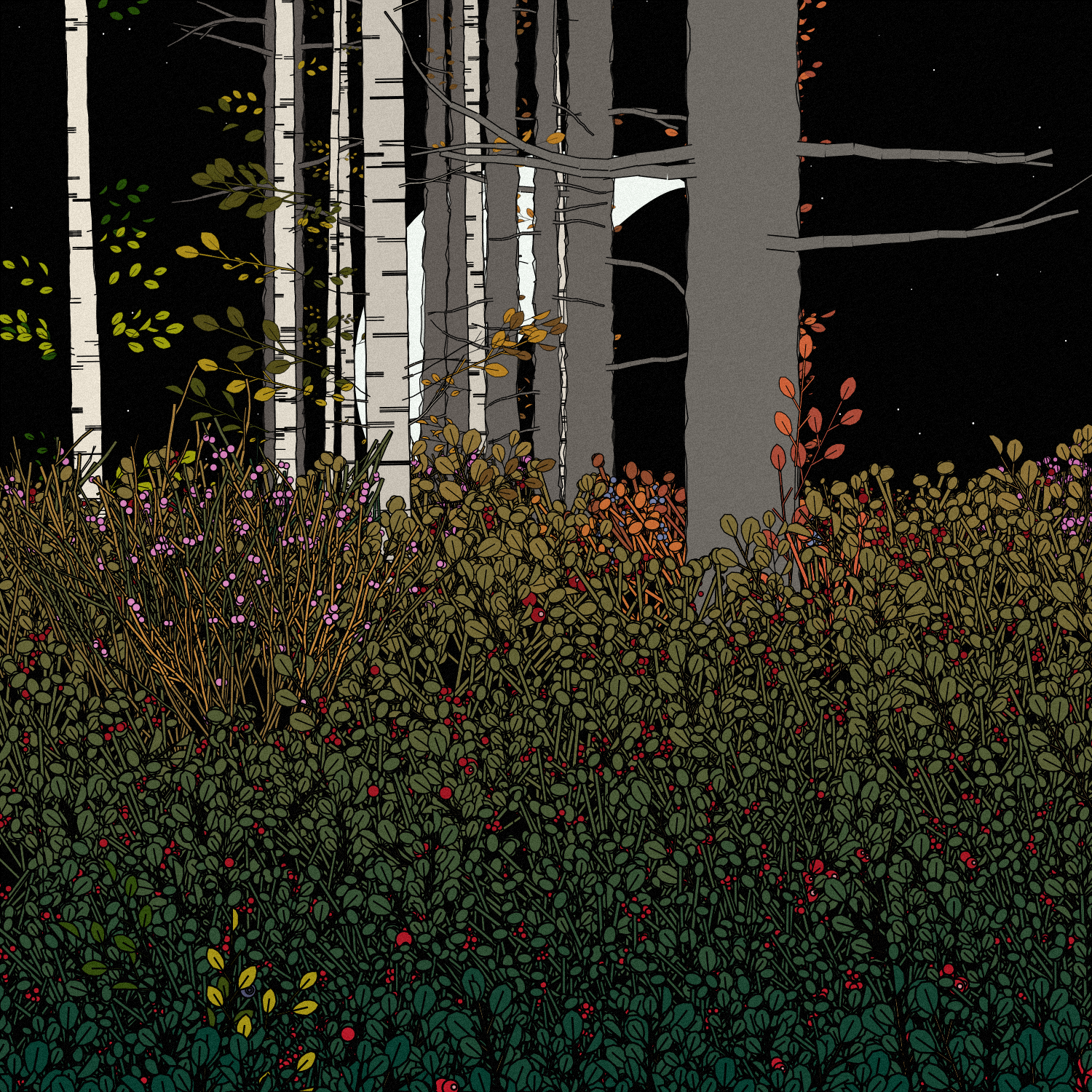 Swedish Forest #4 static token preview