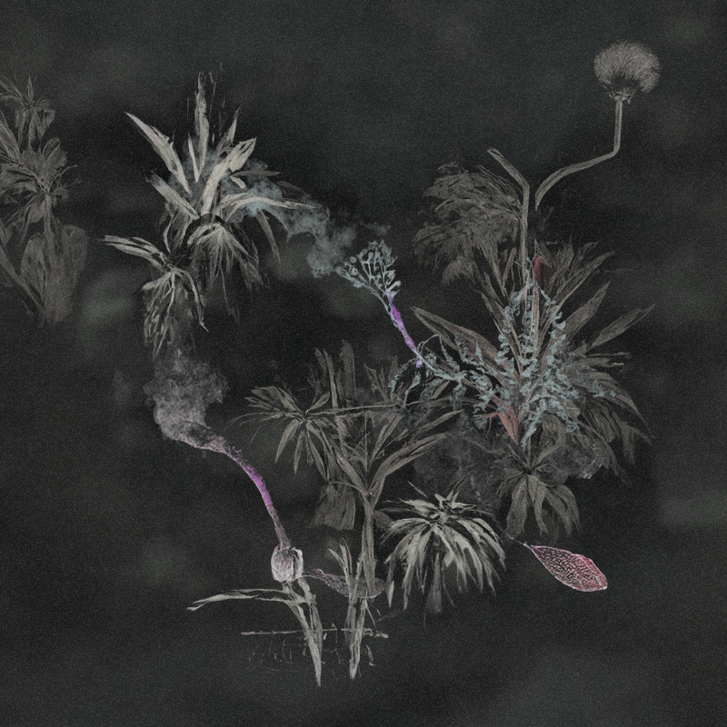 Hauntological Herbarium #16 static token preview