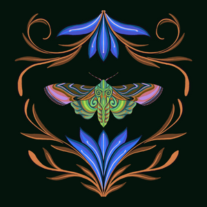 The Moth Experiment 3.0 P3 project preview