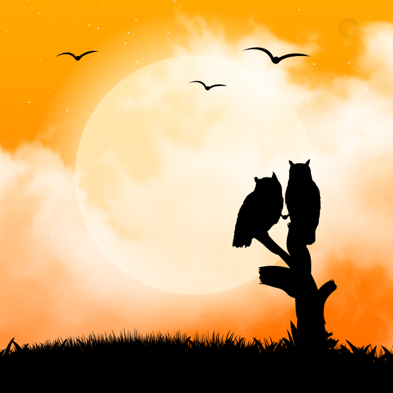 We Care...Owl #10 static token preview