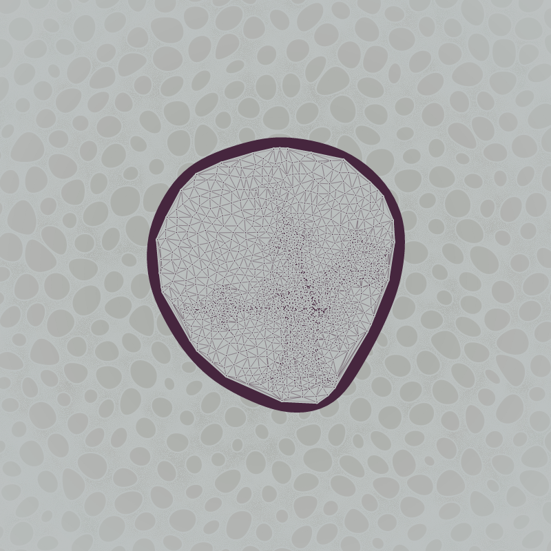 Protista #12 static token preview