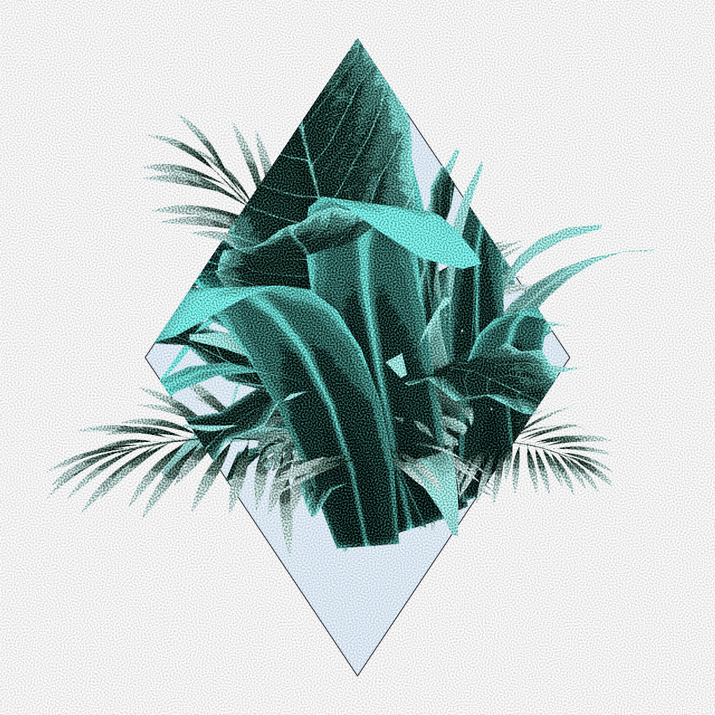 Botany #24 static token preview