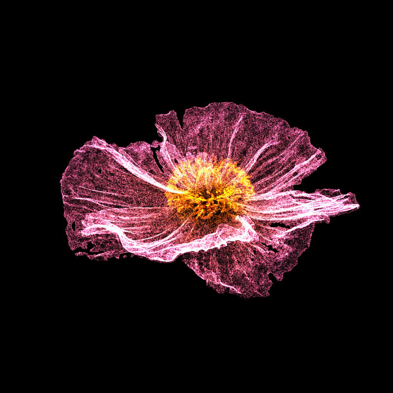 White Poppy 30 #1 static token preview