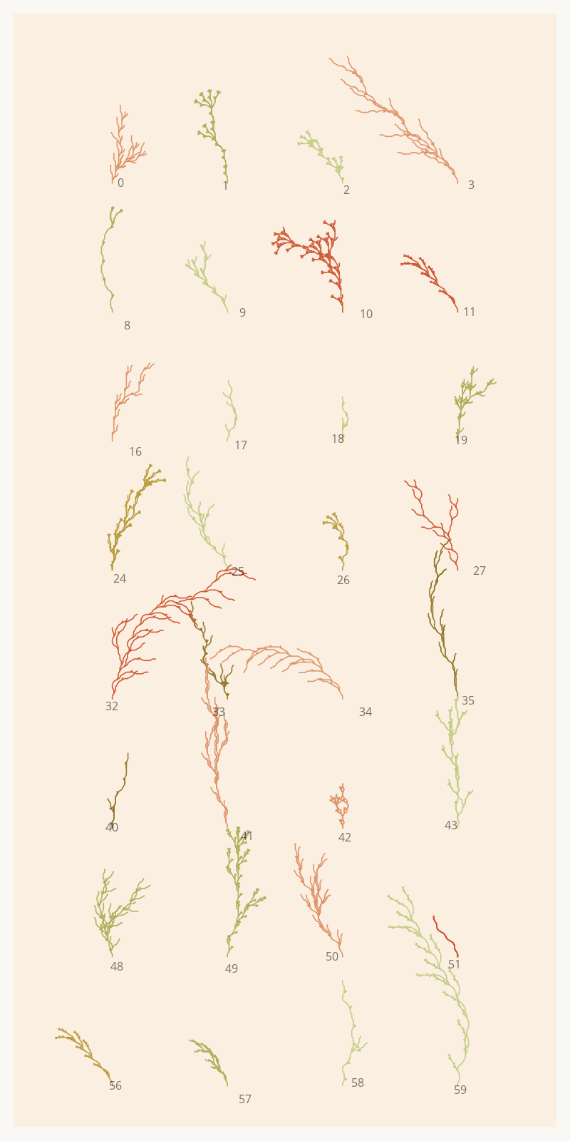 Seaweed Study #1 static token preview