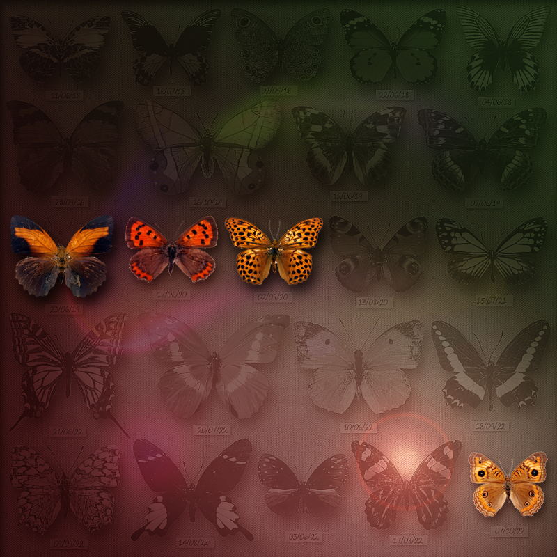 Save Butterfly World #13 static token preview