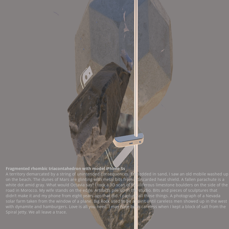 Fragmented triacontahedron with iPhone 5s #18 static token preview
