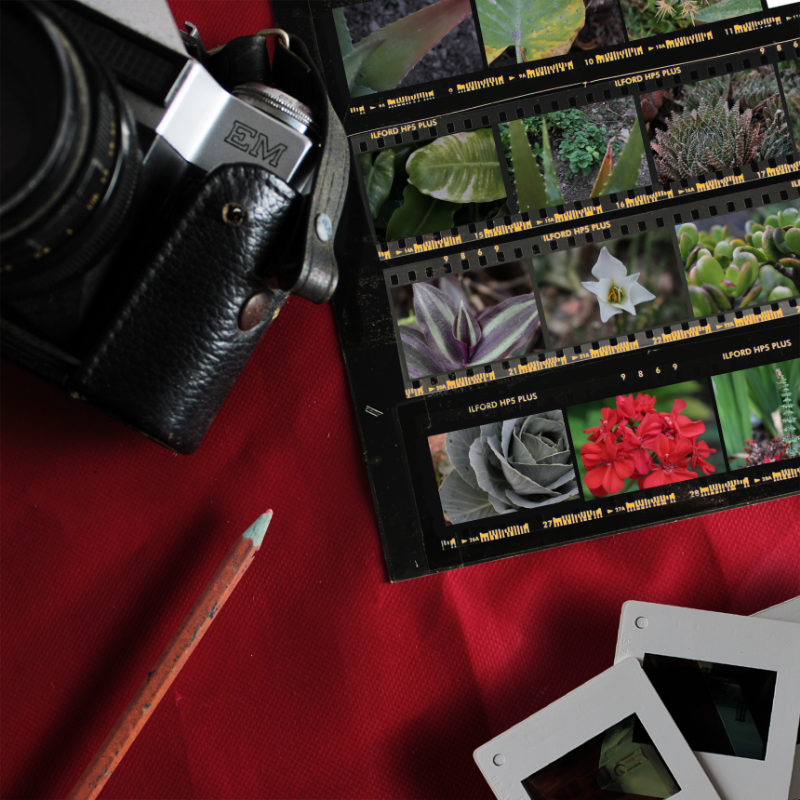 Contact Sheet #14 static token preview