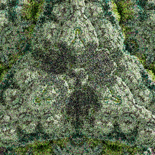 Lichenoid forms #20 static token preview