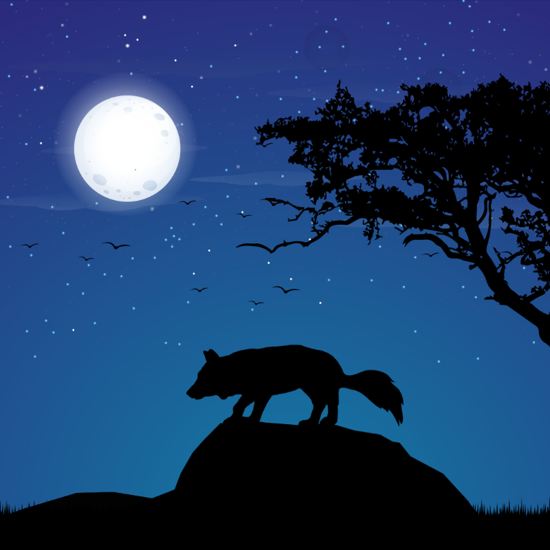 We Care...Fox #7 static token preview