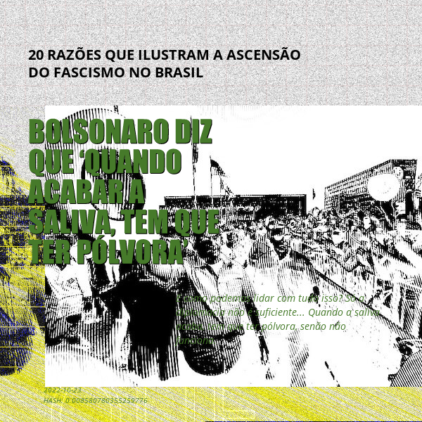 B4D - Brazil4Democracy #9 static token preview