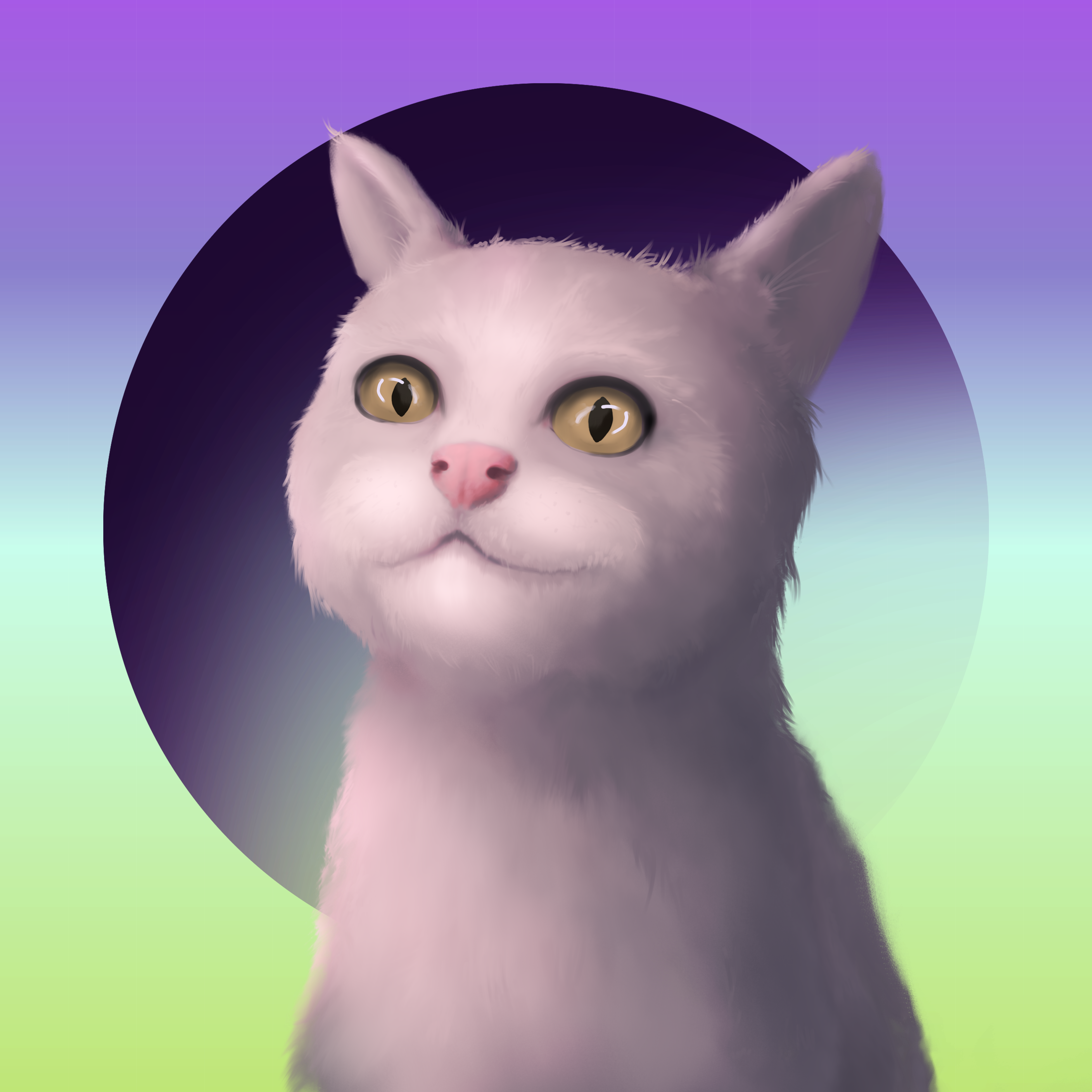Crazy cat #8 static token preview