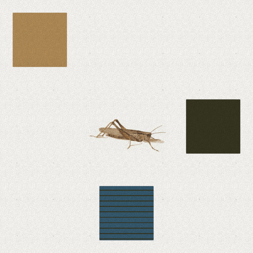 Grasshopper #9 static token preview