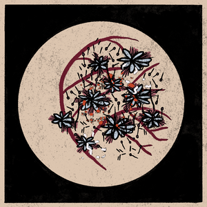 Microbes project preview