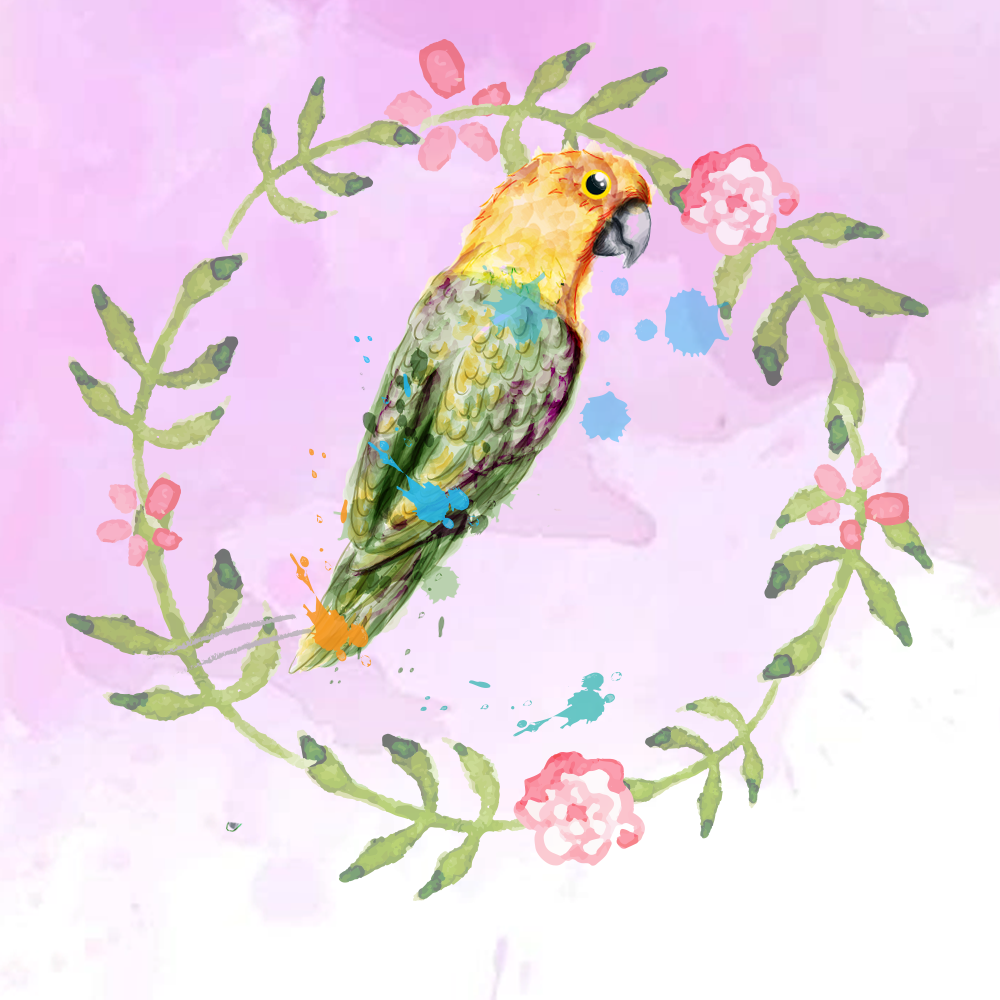Random Tropical Birds #7 static token preview