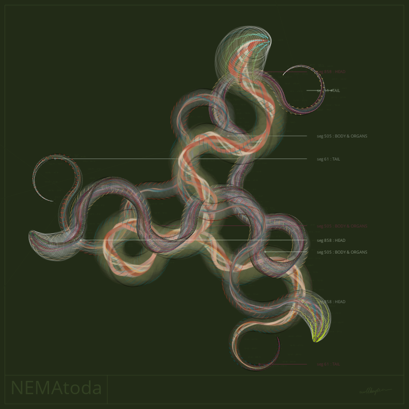 NEMA #18 static token preview
